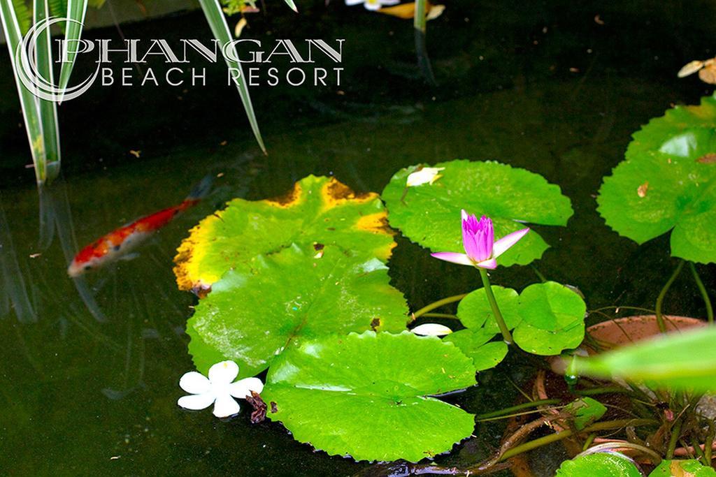 Phangan Beach Resort Baan Tai Εξωτερικό φωτογραφία